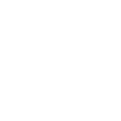 Lifesaver Icon